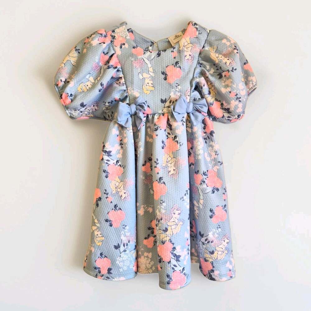 New TagDisney Cinderella Girls Puff Sleeve Floral Dress Blue Pink 6 nwt